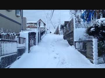 朝起きたら銀世界だった。