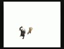 【実況】ファイナルファンタジークリスタルクロニクル - その17後半-
