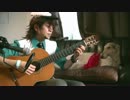 harmonized finale(ハーモナイズドフィナーレ)歌ってみた（弾き語り）