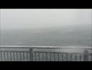 2月8日、豊洲の海岸の様子