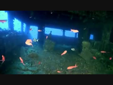 レスキュー！海難救助隊5　～深海のオイル漏れSOS～