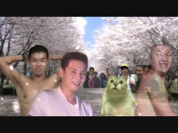 我輩は猫であるゾ.mp4