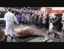 殺処分のキリン解体を一般公開