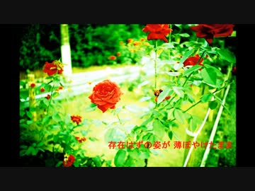 【米飯】踊ればいいよ【歌ってみた】