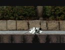 簡易ＣＭを作成してみた。【新派生第２弾】【プロトタイプ】