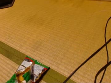 【永井先生】ソチ五輪実況