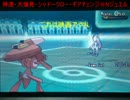 [ポケモンXY実況]中途半端な俺が本気でタイプ統一番外編[第２期]