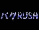 バグRUSH　4