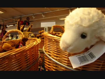 【APヘタリア】ノルウェーさん家行ってきた② ベルゲン