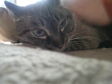 ガンバルパパ！　ジャンくんに密着！仲良くなったよね