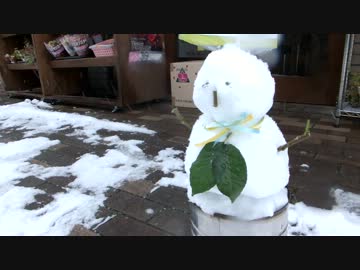 【大阪】喜志駅周辺の雪景色【2014/02/14】