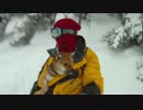 抱っこされて雪山をおりる柴犬