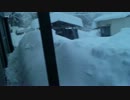 【大雪】　2014年2月15日　埼玉県秩父市