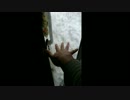東京大雪のせいで俺が家から出れなくなるだけの動画