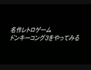 ドンキーコング３をやってみた.mp4