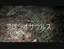 【AQUANAUT'S HOLIDAY】美しい海でどんどこ探索　12