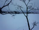 【大雪注意】雪かきしたら編集する気力がなくなった