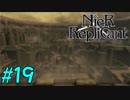 【実況】兄妹愛溢れるゲームをプレイ【ニーアレプリカント】part19