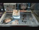 がんばらないUFOキャッチャー68