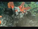 ～闇のみでボス討伐～　Fo/Te  SHログベルト３３秒