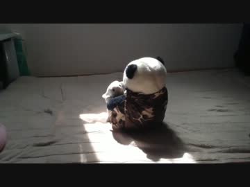 いかないで