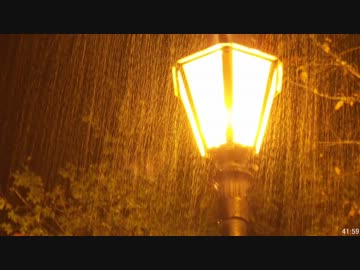 【作業用BGM】 雨の音を一時間、集中用・睡眠用