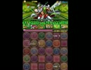 【パズドラ】ゼウスディオス降臨　バランス木242パでノーコンクリア！