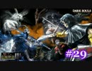 【初見】日本版ダークソウル実況／騎士と盗賊物語・闇【DLC】＃29