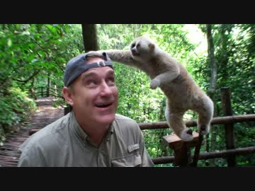 飼育員に小勝利する淫夢くん