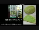 【ninja250】バイクを新しくしたから車載動画を撮ろう【伊豆ツーリング2】