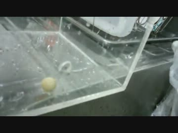 【ブログ用】穴の開いた箱に球と水を入れる流体実験