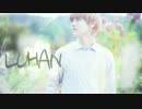 【exo 】HD-ルハン　デビュー2周年　ファン製版　