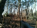 ハンドガン一丁でサバイバルゲームに参加してみた、part18