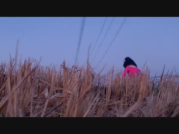 【踊ってみた】どっち？こっち？もっち！！【桃知みなみ】