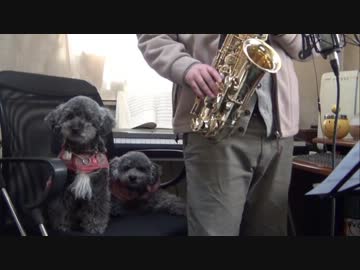 アルトサックスで「どうぶつの森 タイトル」を吹いてみた