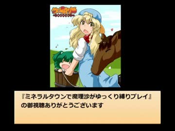 ミネラルタウンで魔理沙…アンケート編