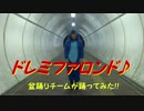 【スタダス】ドレミファロンドを踊ってみた【ともぴす】