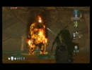 【実況】男二人がトワイライトプリンセスを楽しむ　Part17