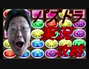 【パズドラ】ヘラベオーク降臨【ホルスノーコン】
