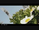 「春に一番近い街」 を歌ってみた 【Shuri】