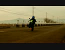 WR250X　ウイリー練習　二週間目