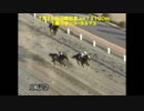 ２０１４年フェブラリーステークス参考レース