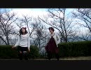 【心愛。＆ルゥ♀】スイートマジック踊ってみた【ふづき】