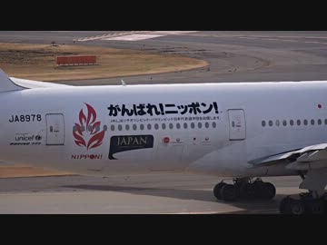 JAL 777-200 ソチオリンピック・パラリンピック がんばれ!ニッポン! JET1号機