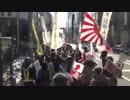【2014/2/22】日韓国交断絶国民大行進 in 帝都　2/4