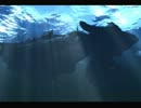 田舎っぺ達のネルが【Final Fantasy X】を独りで実況してみた。 Part 44