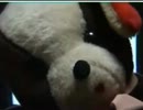 【永井先生】ヤフオク過去動画検証