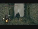【実況プレイ動画】ダークソウルを頑張ってクリアしよう 6ソウル【DLC】