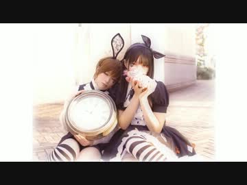 【めこのいあ】嘘とぬいぐるみ【踊ってみた】