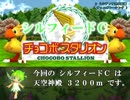 チョコボスタリオン交流レース　シルフィードC ＃２